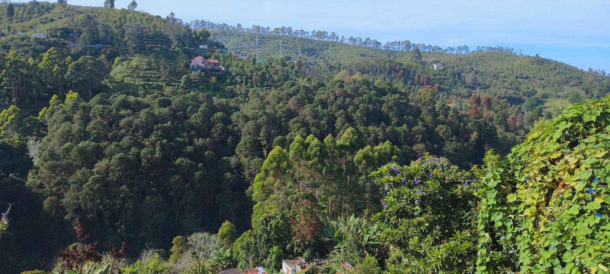 Highland Heaven Hotel Kodaikanal Exterior foto